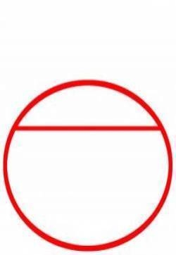 梨简笔画图片：教你怎么画梨  水果简笔画图片