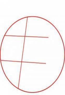 桃子简笔画图片：教你怎么画桃子  水果简笔画图片