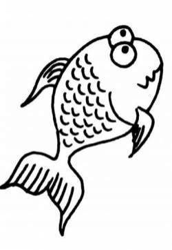 卡通金鱼简笔画图片  卡通动物简笔画 海洋动物简笔画图片大全