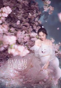 杨幂杂志图片：再续桃花情缘唯美梦幻