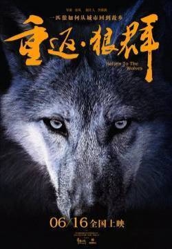 《重返狼群》电影海报图片