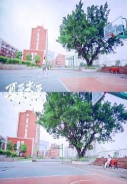 《夏至未至》美美的立夏图片