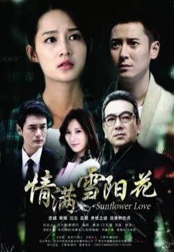 李沁《情满雪阳花》海报图片
