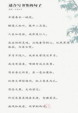 适合写书签的剧照文字语录图片