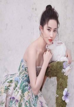 刘亦菲性感抹胸长裙杂志封面写真