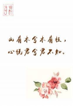 经典动人的唯美古诗词文字图片