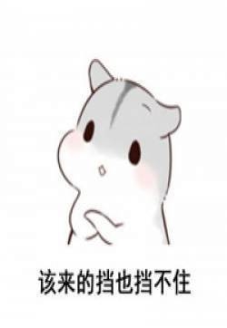 小仓鼠微信可爱表情包 有什么不开心表情图片