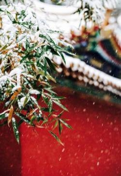 冬季北京故宫雪景唯美摄影图片