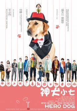 郭碧婷《神犬小七》丁涵剧照图片  郭碧婷图片