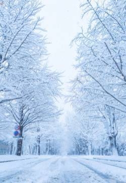 北海道大学雪天风景图片 雪景图片