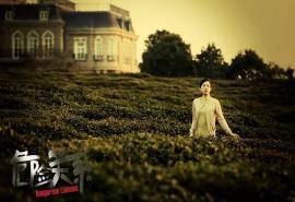 章子怡《危险关系》剧照图片  章子怡图片