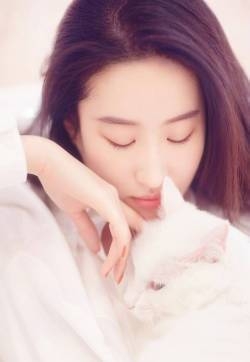 刘亦菲与猫清新唯美高清写真图片