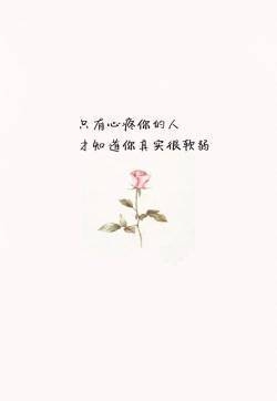 我爱你文字心情语录图片 个性陪伴习惯文字图片