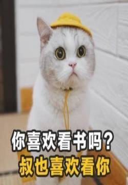 土味情话搞笑文字表情包图片