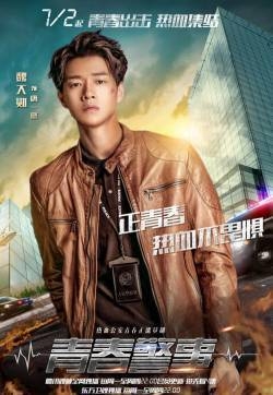 焦俊艳魏大勋《青春警事》海报图片
