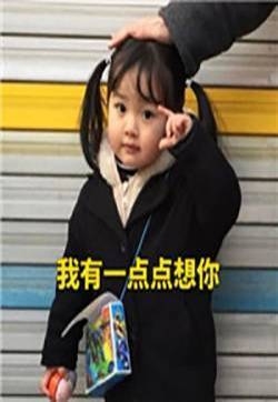 权律二文字表情包图片：难道还用我教你怎么泡我吗