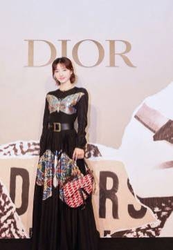 王丽坤温婉大气活动写真图片
