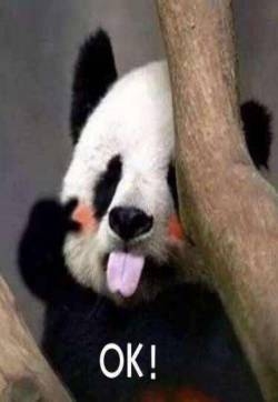 2019熊猫头心态崩了微信恶搞表情包图片