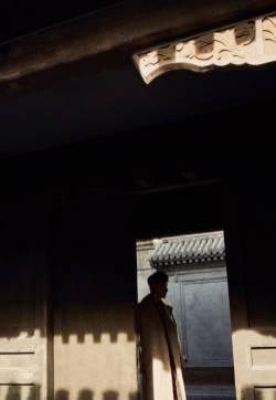 罗晋休闲帅气写真图片
