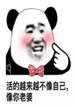熊猫头清新情话表情包