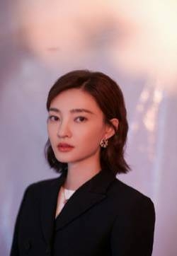 王丽坤优雅精致写真图片