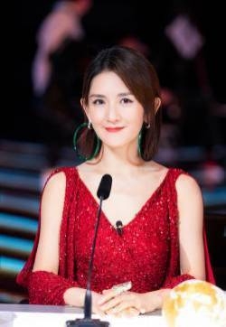 谢娜《巅峰之夜》美艳图片