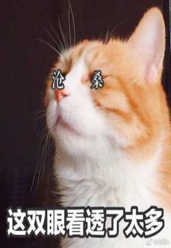 聊天斗图心情文字表情包图片