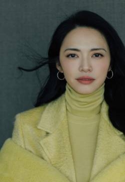 姚晨鹅典雅写真图片