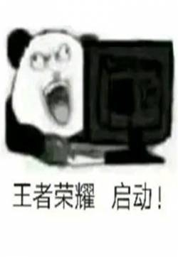 熊猫头520表情包图片