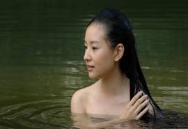 董洁桌面壁纸之清纯明星