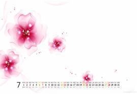 2013年7月桌面月历之清新淡雅花卉