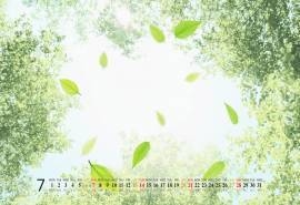 2013年7月清凉风景月历