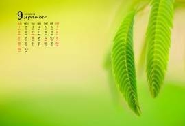 九月份日历桌面壁纸之2013年美丽风景