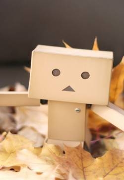 纸盒人Danboard高清手机壁纸