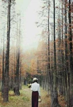 清纯可爱唯美自然美女户外写真手机壁纸