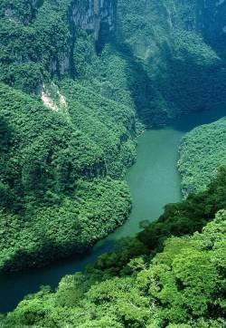 唯美意境图片iPhone 5s风景苹果手机壁纸
