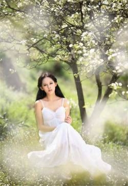 梨花树下的清纯可爱美女唯美写真手机壁纸