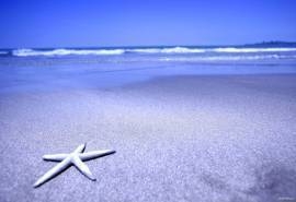 浪漫的海边沙滩美丽风景图片电脑桌面壁纸高清