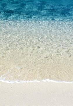 夏季清凉唯美海底美丽风景iPhone5S手机壁纸