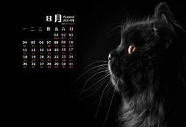 2014年8月日历壁纸萌猫大图可爱猫咪图片合集(二)