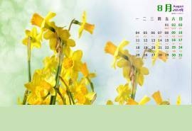 2014年8月日历迎春花图片宽屏高清电脑桌面主题壁纸下载(一)