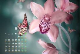 2014年8月日历彩色蝴蝶与花朵高清屏保电脑主题壁纸图片(四)