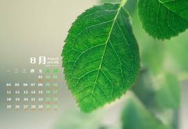 2014年8月日历绿色养眼植物高清开机电脑桌面壁纸(一)