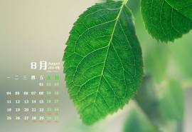 2014年8月日历绿色养眼植物高清开机电脑桌面壁纸(二)