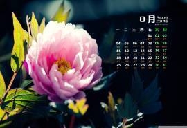 2014年8月日历壁纸高清植物大自然清新美丽花草唯美图片(一)