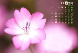 2014年8月日历微距花卉摄影图片win7高清电脑桌面壁纸(二)