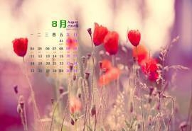 2014年8月日历壁纸大自然唯美红色花草植物高清图片