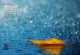 2014年8月日历唯美秋季落叶温暖治愈系意境桌面壁纸(一)