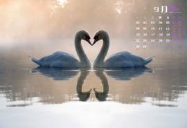 2014年9月日历桌面壁纸浪漫爱情唯美图片