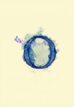 精美的26个字母姓氏创意个性图片手机壁纸下载（3）